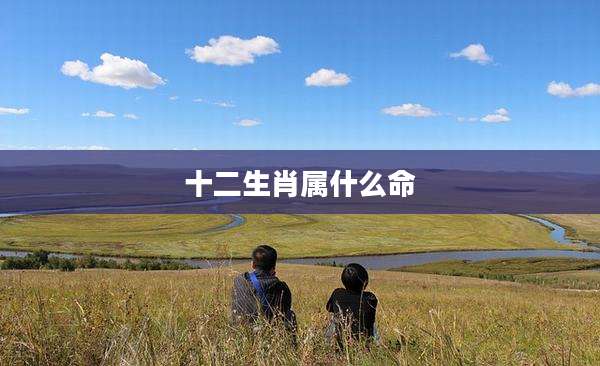 十二生肖属什么命
