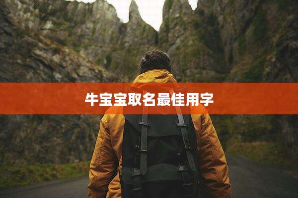 牛宝宝取名最佳用字