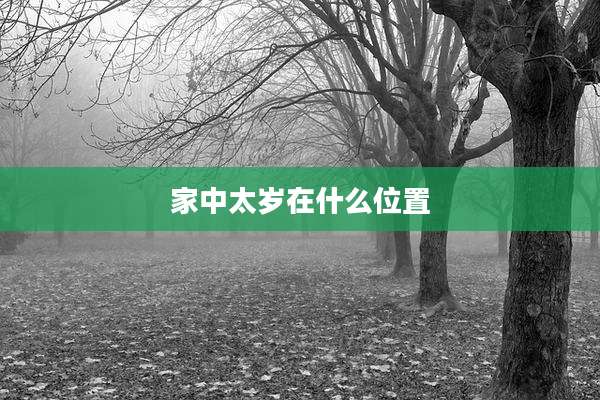 家中太岁在什么位置