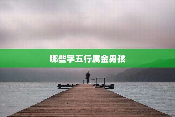 哪些字五行属金男孩