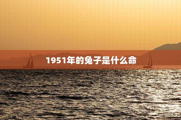1951年的兔子是什么命