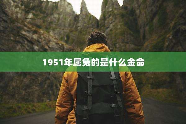 1951年属兔的是什么金命