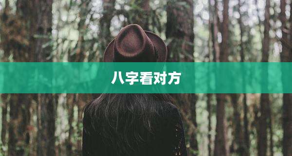 八字看对方