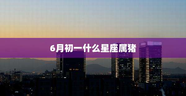 6月初一什么星座属猪