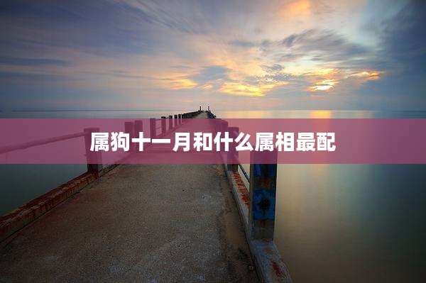 属狗十一月和什么属相最配