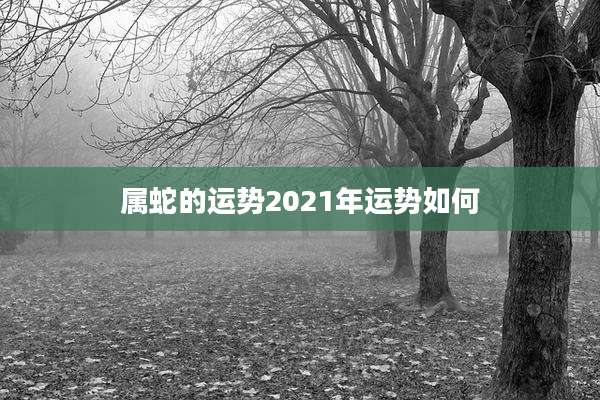 属蛇的运势2021年运势如何