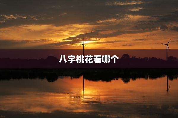 八字桃花看哪个