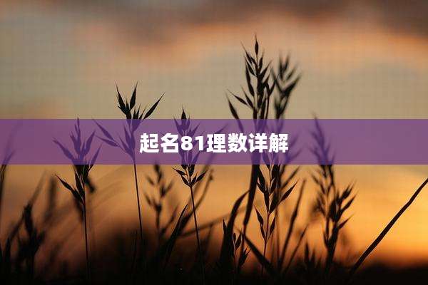 起名81理数详解