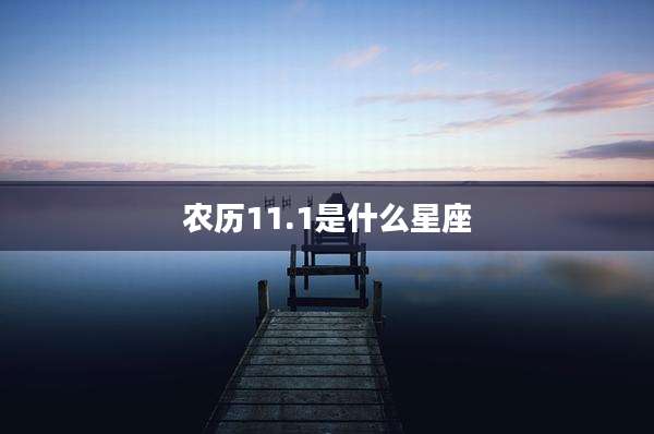 农历11.1是什么星座