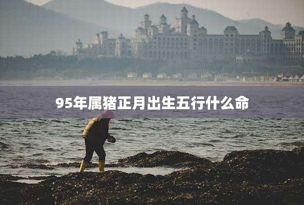 95年属猪正月出生五行什么命