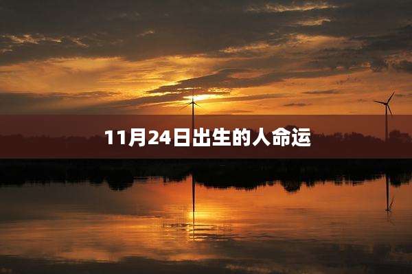11月24日出生的人命运