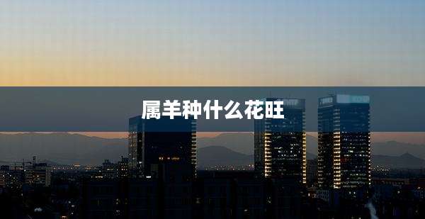 属羊种什么花旺