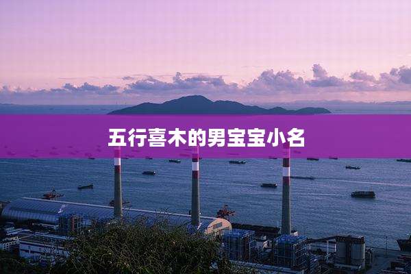 五行喜木的男宝宝小名