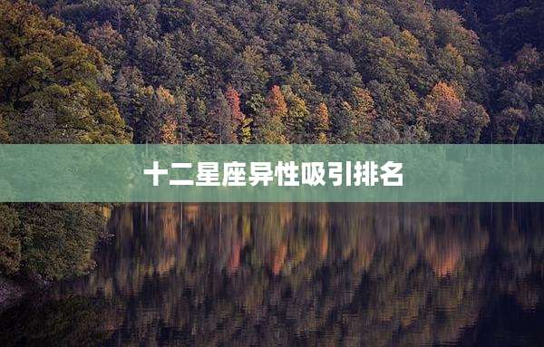 十二星座异性吸引排名