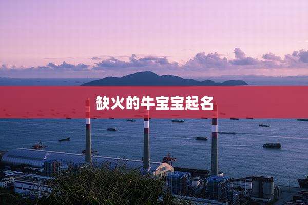 缺火的牛宝宝起名