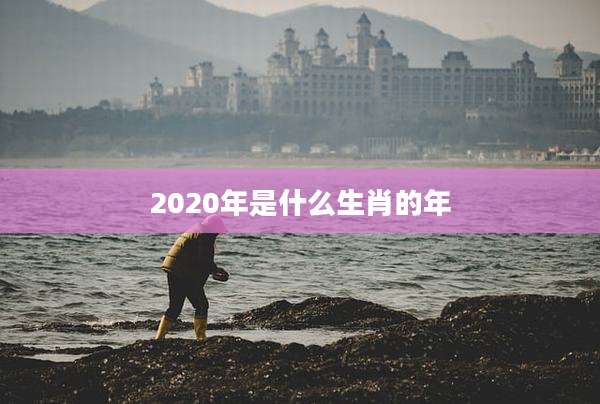 2020年是什么生肖的年