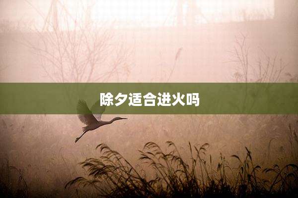 除夕适合进火吗