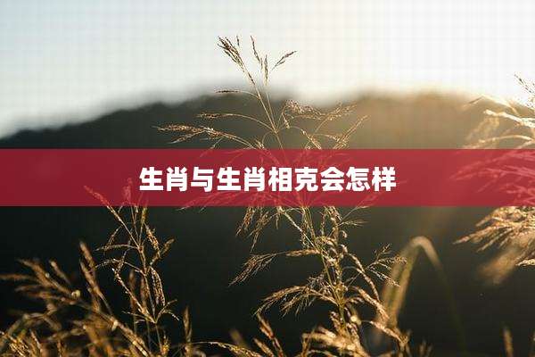 生肖与生肖相克会怎样