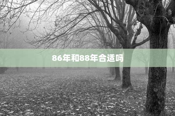 86年和88年合适吗