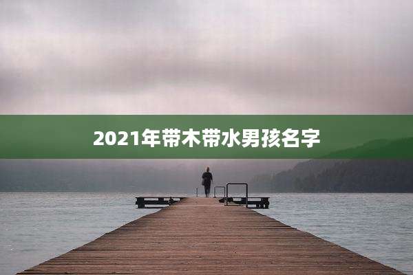 2021年带木带水男孩名字