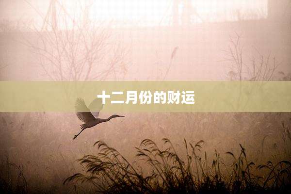 十二月份的财运