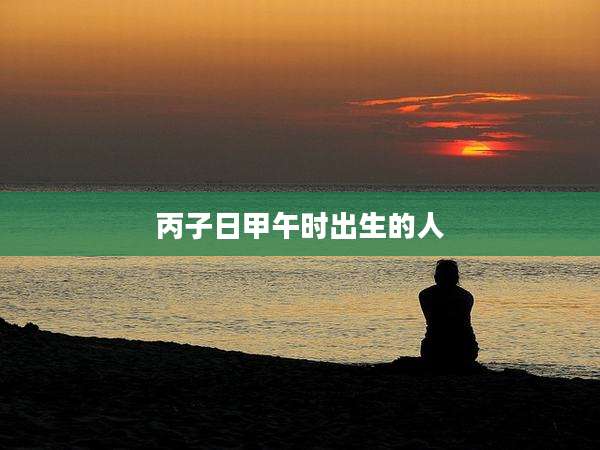 丙子日甲午时出生的人