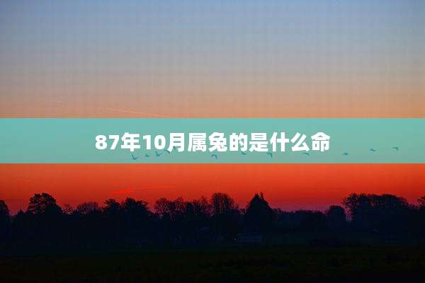 87年10月属兔的是什么命