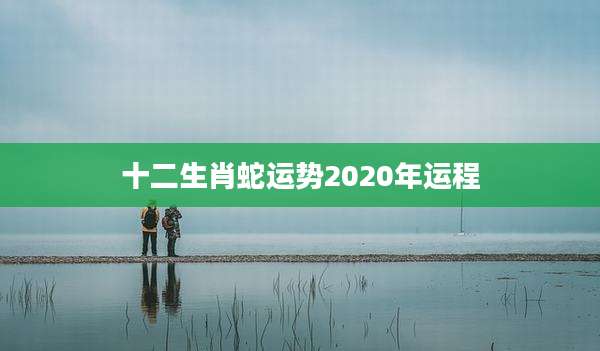 十二生肖蛇运势2020年运程