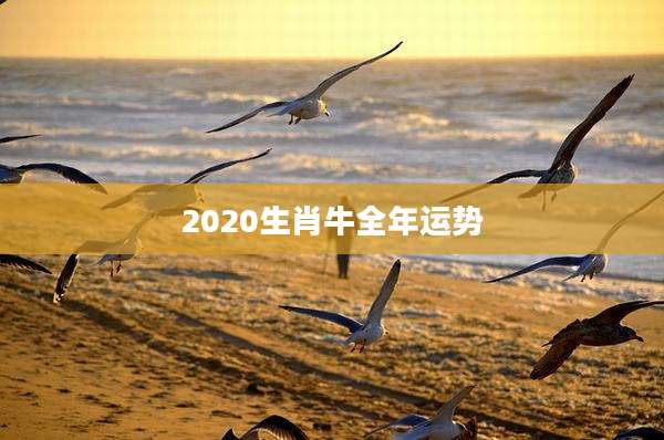 2020生肖牛全年运势