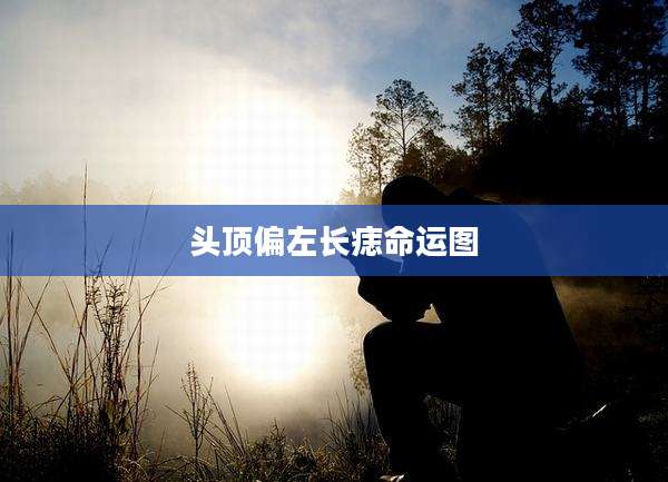 头顶偏左长痣命运图