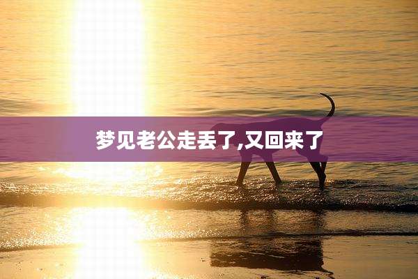 梦见老公走丢了,又回来了