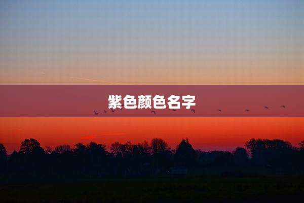 紫色颜色名字