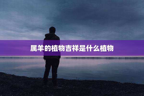 属羊的植物吉祥是什么植物