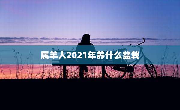 属羊人2021年养什么盆栽