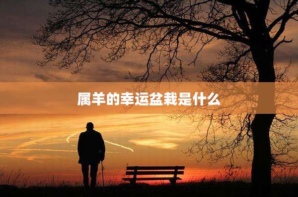 属羊的幸运盆栽是什么