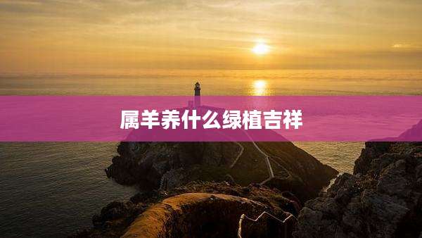 属羊养什么绿植吉祥