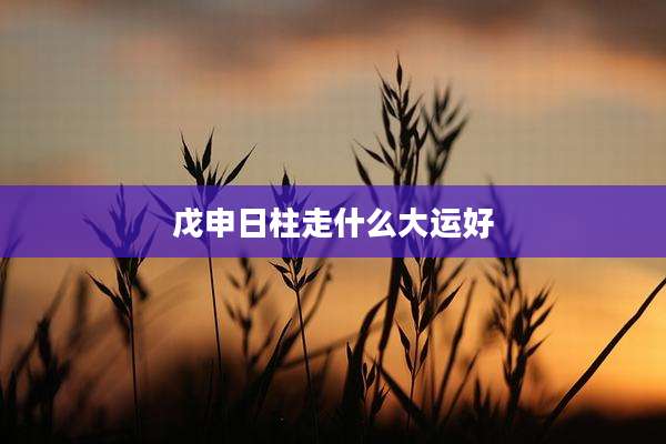 戊申日柱走什么大运好