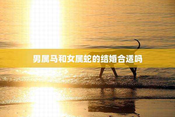 男属马和女属蛇的结婚合适吗