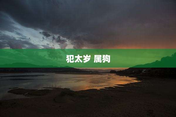 犯太岁 属狗