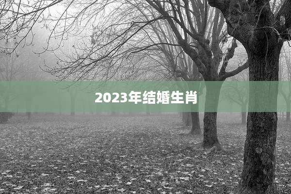 2023年结婚生肖