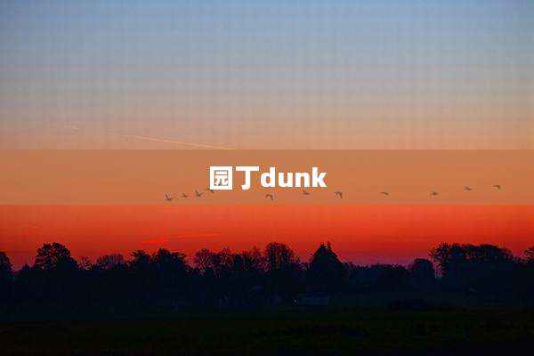 园丁dunk
