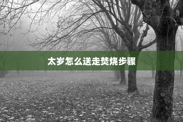 太岁怎么送走焚烧步骤