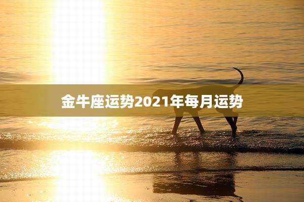 金牛座运势2021年每月运势
