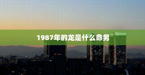 1987年的龙是什么命男