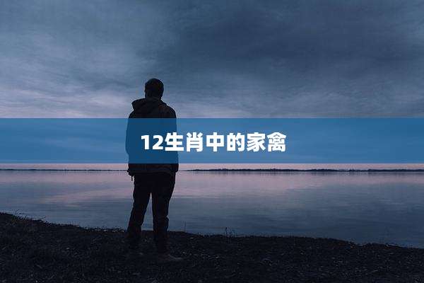 12生肖中的家禽