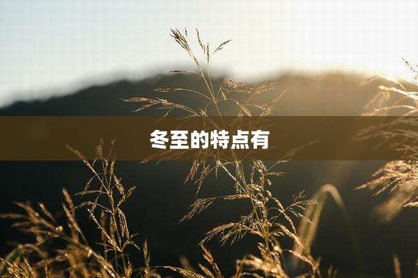 冬至的特点有