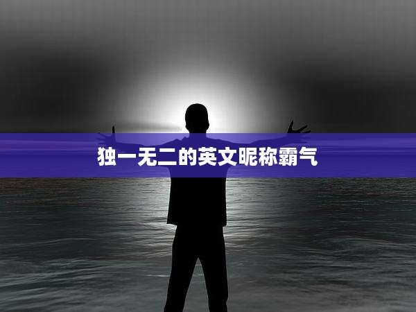 独一无二的英文昵称霸气