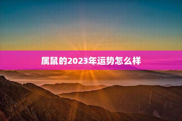 属鼠的2023年运势怎么样