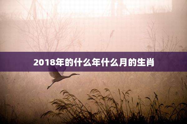 2018年的什么年什么月的生肖