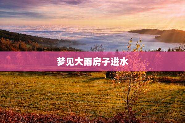 梦见大雨房子进水